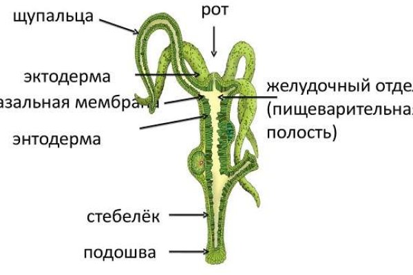 Что продают на сайте кракен